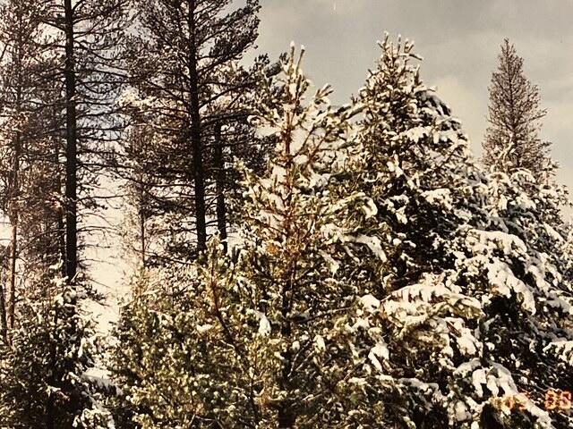 Klamath Country - Land