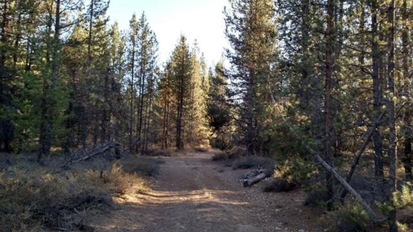 BEAR FLAT RD, CHEMULT, OR 97731 - Image e9c879cda63cd3ca7bcd4d1172070a69/769828170