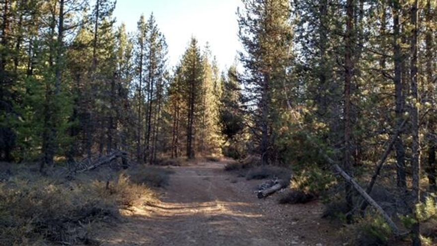 This expansive parcel of undeveloped land offers a unique opportunity for buyers looking to create their own vision, for recreational purposes or working with the county to develop your dream. With its vast, open space and natural beauty, this property is an excellent blank canvas awaiting your plans. Located just minutes to Chemult, Diamond Lake, Crater Lake, and so much more. Come see today!