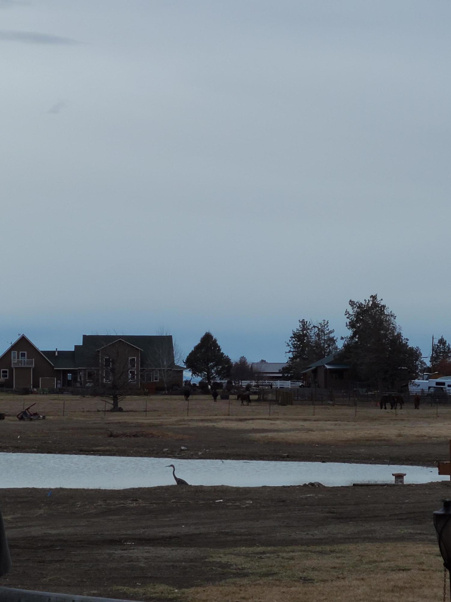 Equestrian Meadows - Residential