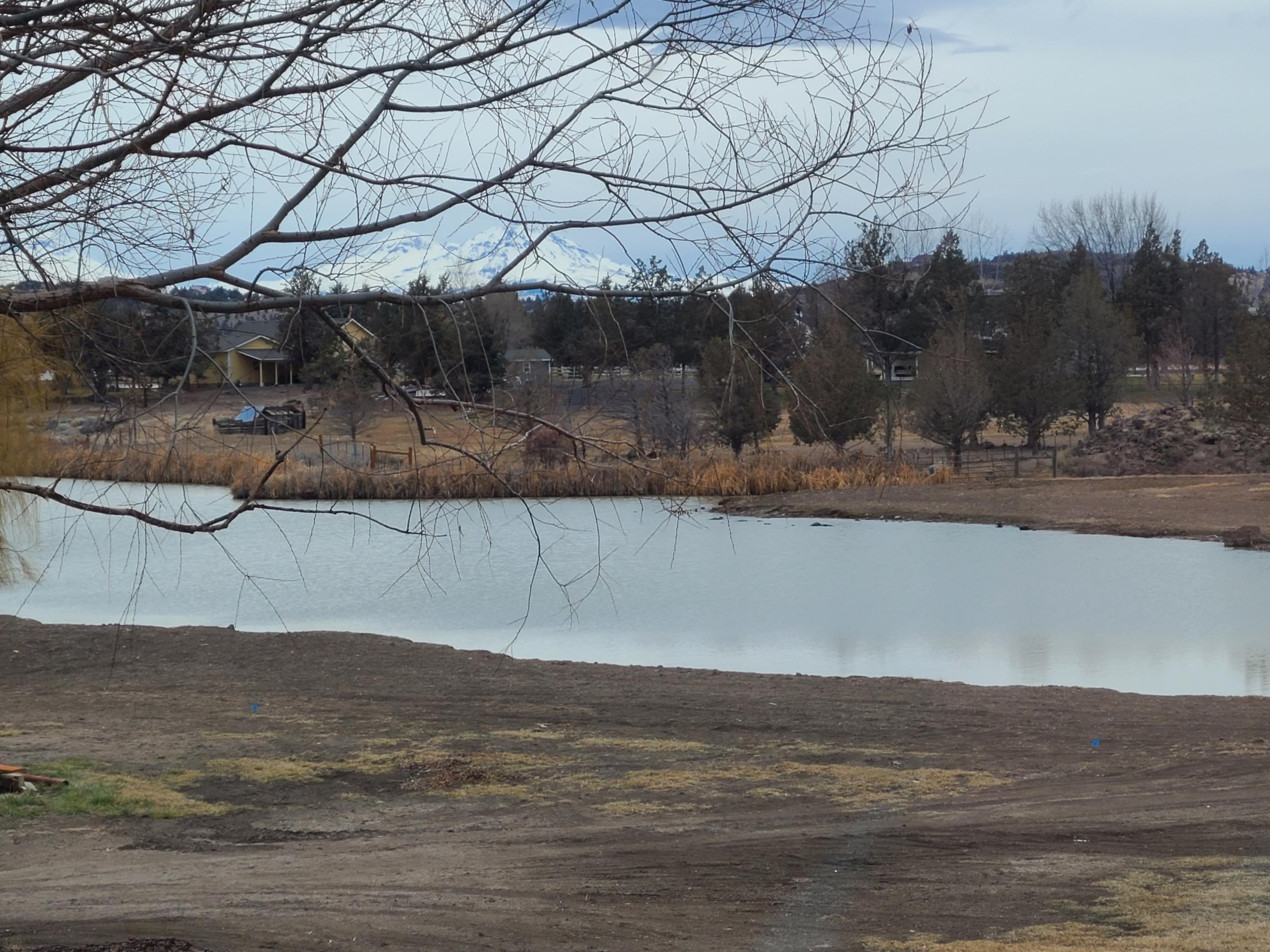 Equestrian Meadows - Residential
