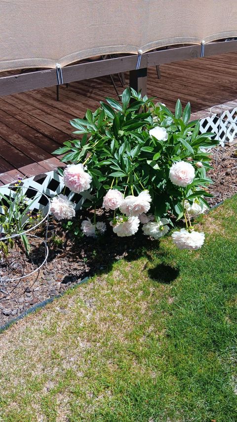 Tiny photo for 53465 Kokanee Lane, La Pine, OR 97739 (MLS # 220213230)