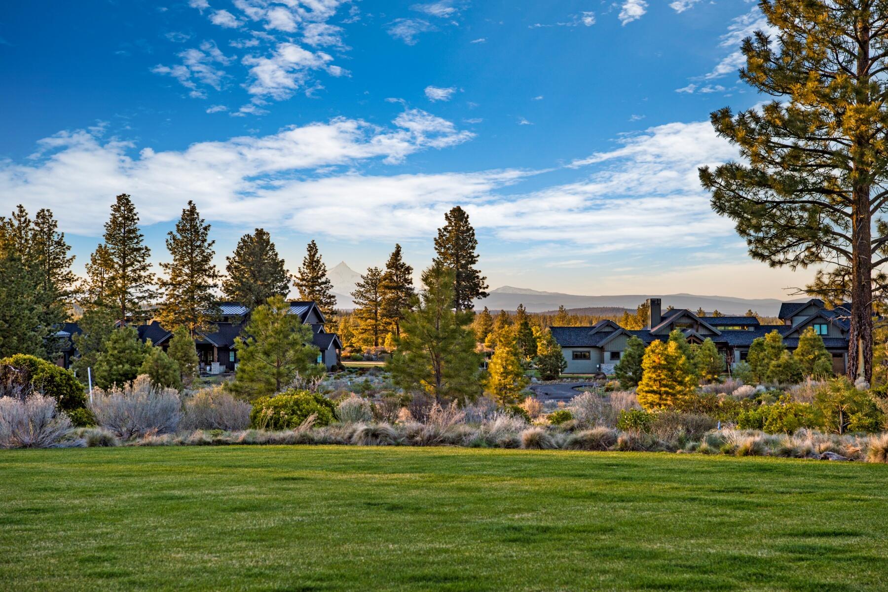 Tree Farm - Residential