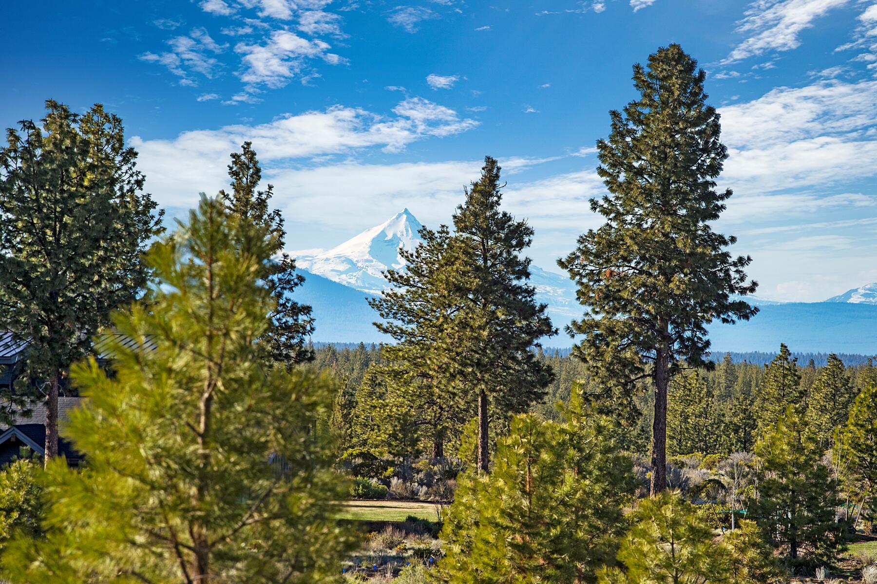 Tree Farm - Residential