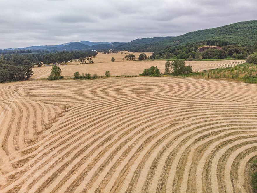 202 acre productive farm ground with 1965 non-cancelled water rights. Fantastic location with multiple possible homesites. Buyers to verify build ability with the county and property contingent on lot line adjustments. Establishing an easement for POD.