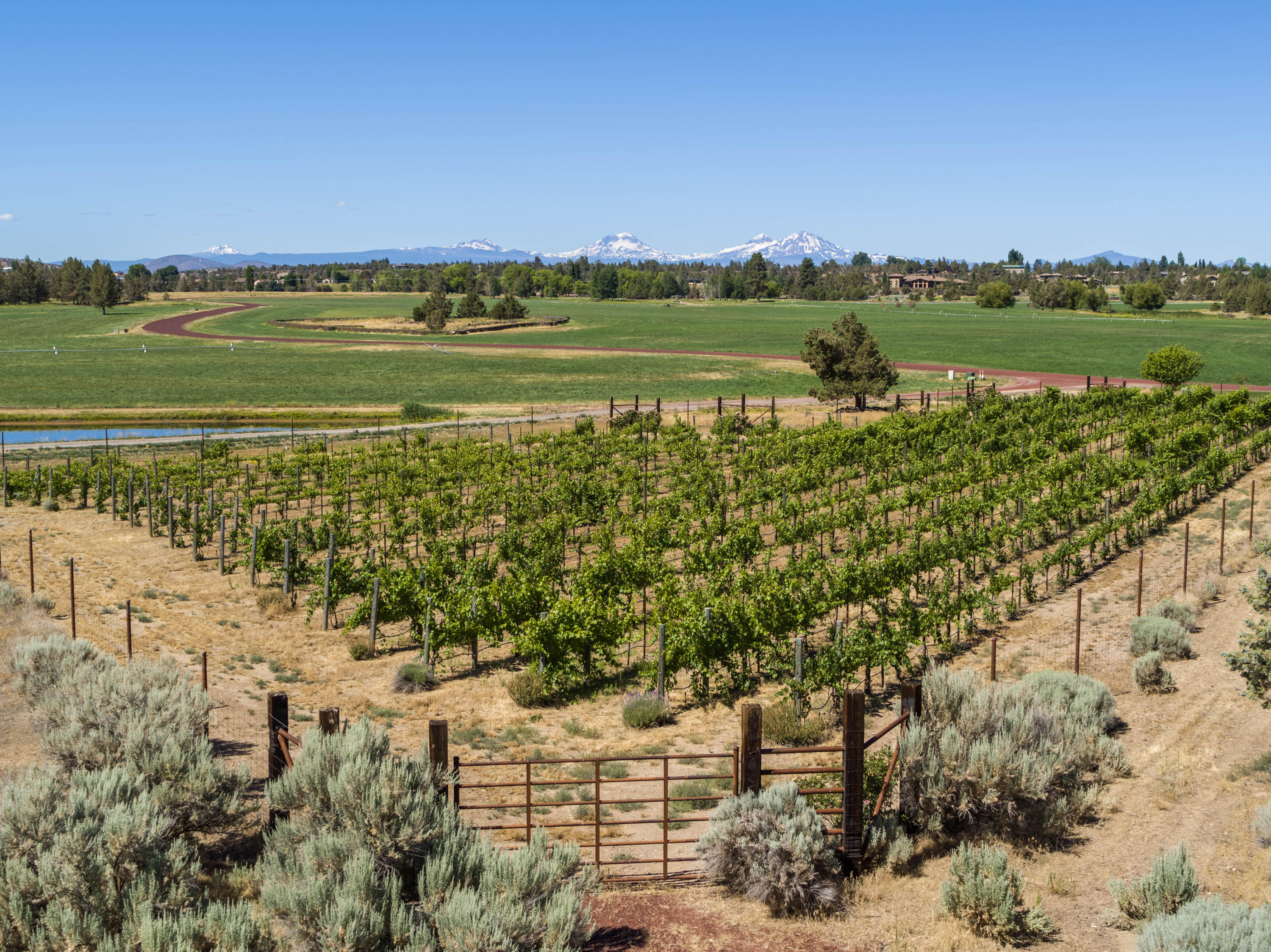 Ranch at the Canyons - Residential