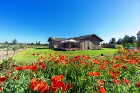 Paladin Ranch - Residential