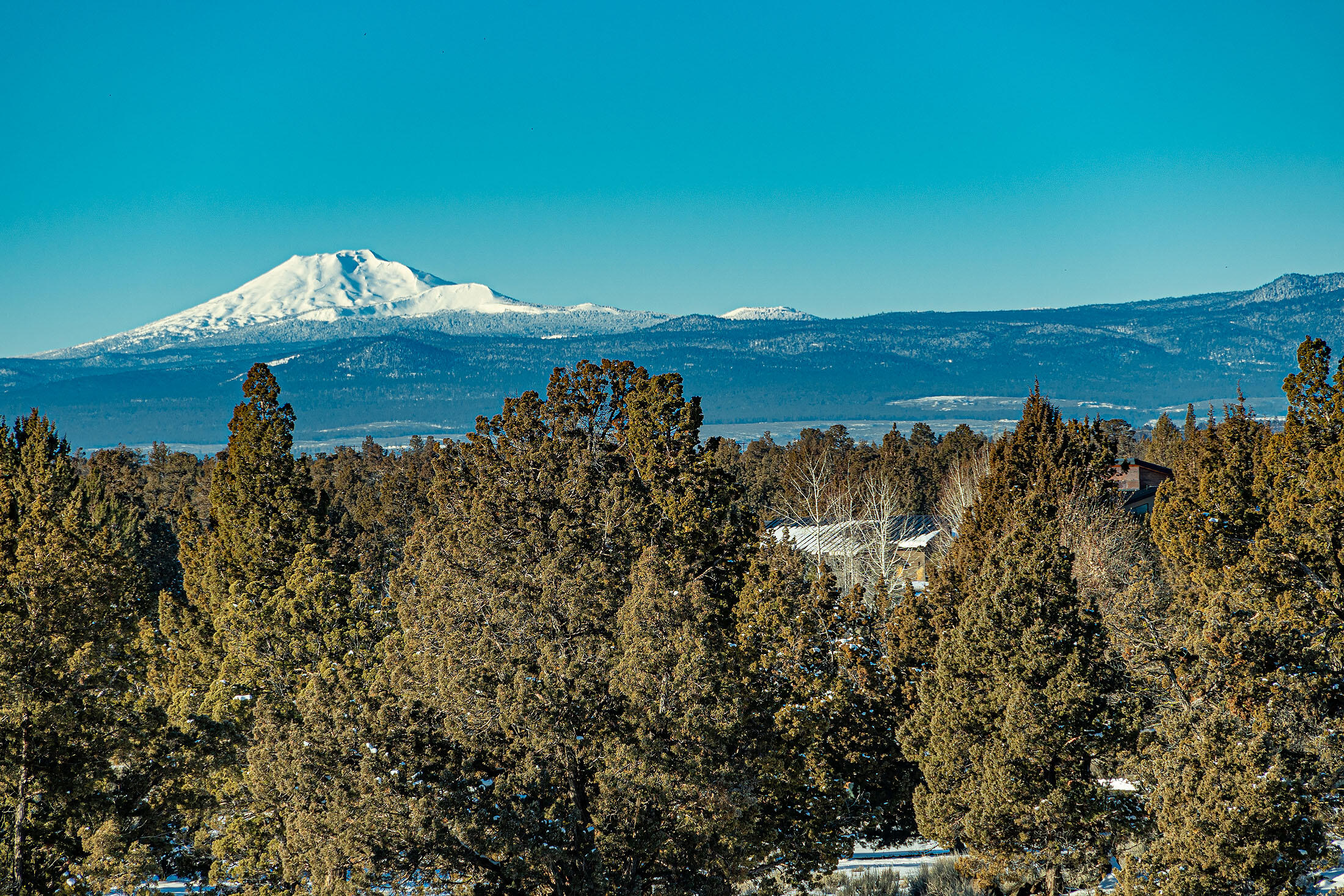 Pronghorn - Residential