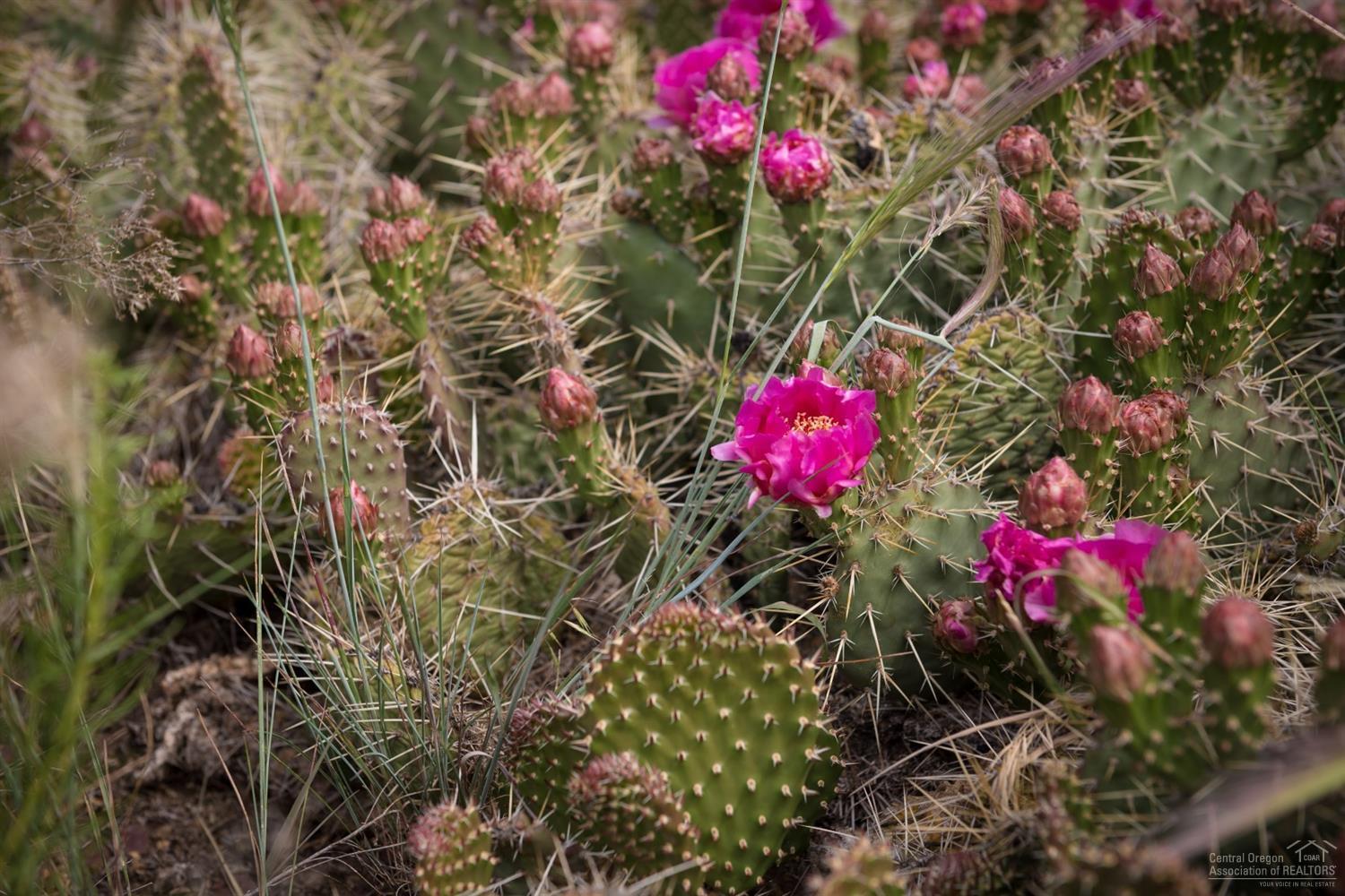 Crooked River Ranch - Residential