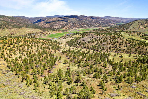 Riverside Ranch - Land