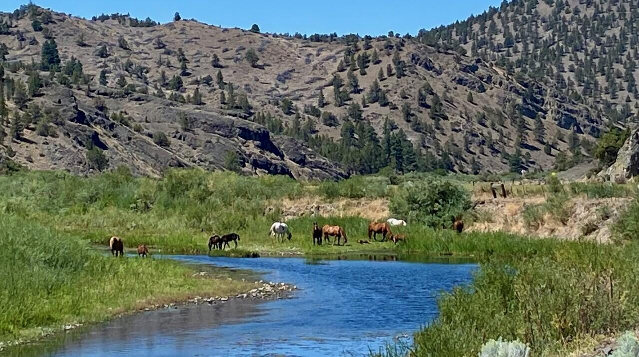 Riverside Ranch - Land