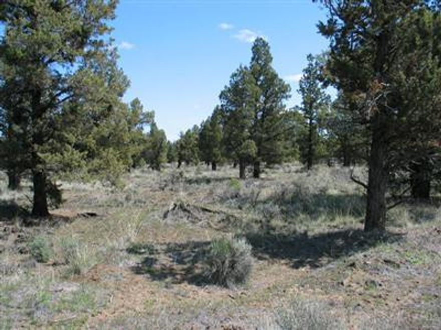 Privacy awaits you on this lovely well treed five-acre lot. This flat parcel offers many great building sites, surrounded by old-growth juniper. Power is at the road. Seller financing available with approved credit.