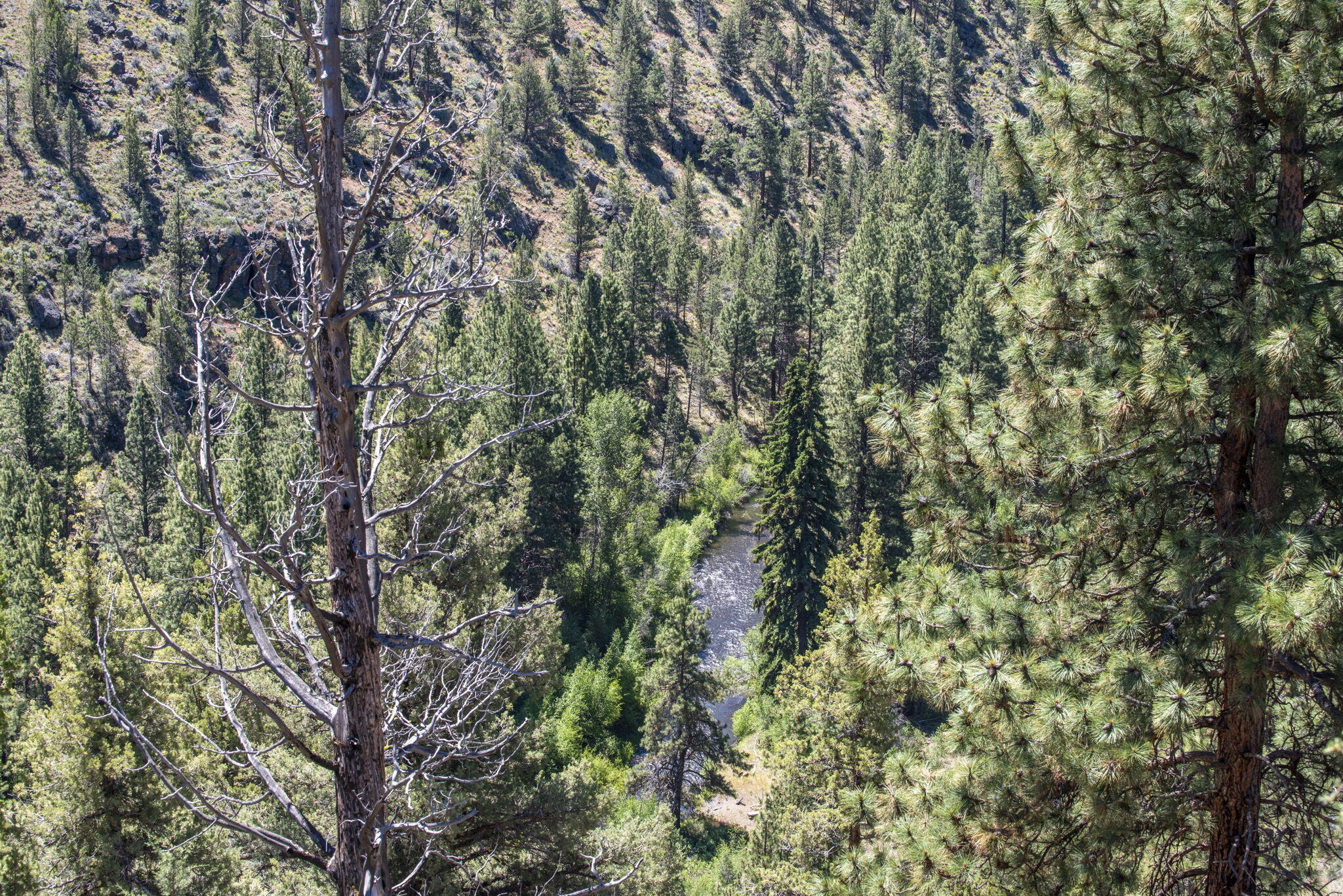 Squaw Creek Canyon - Residential