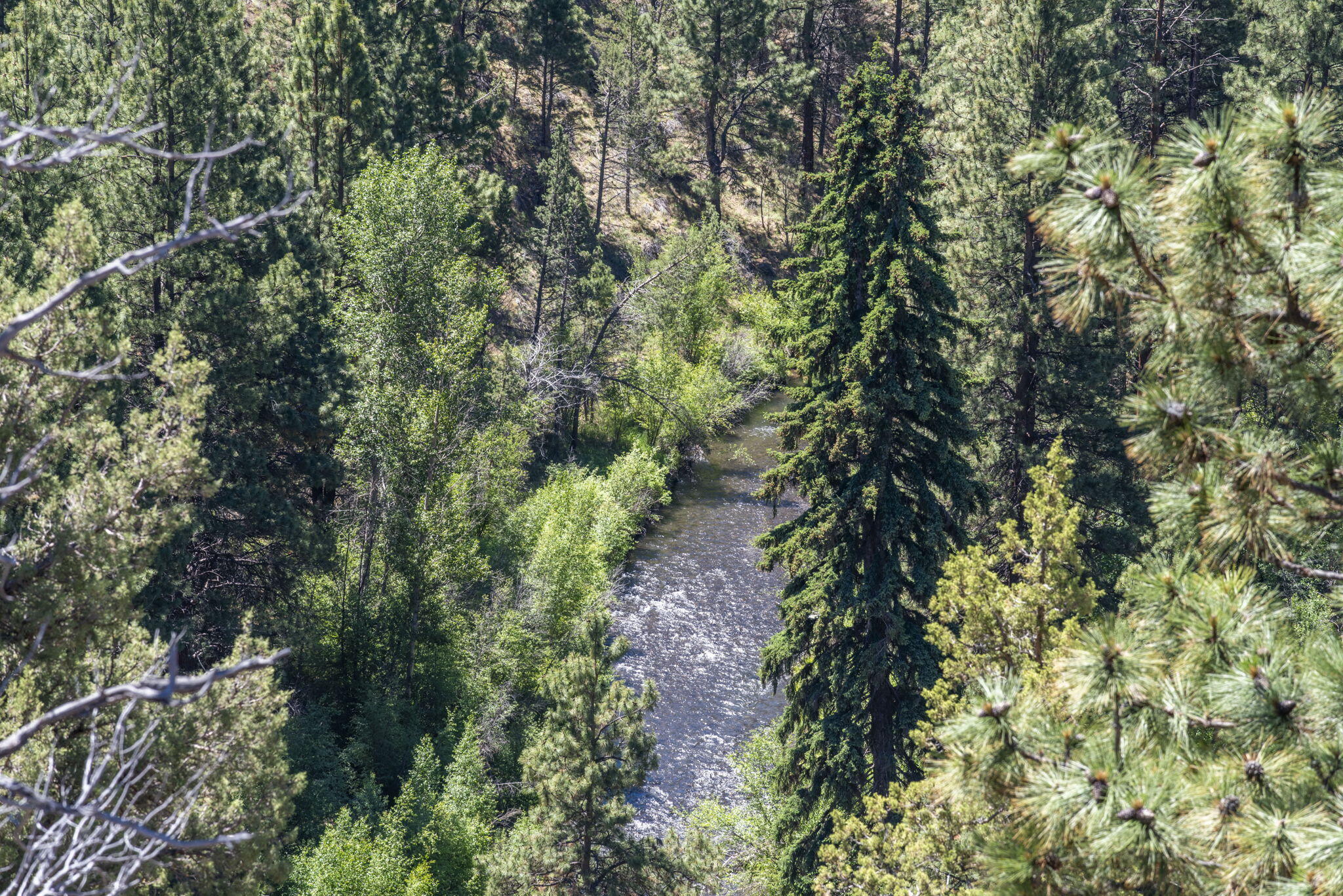Squaw Creek Canyon - Residential