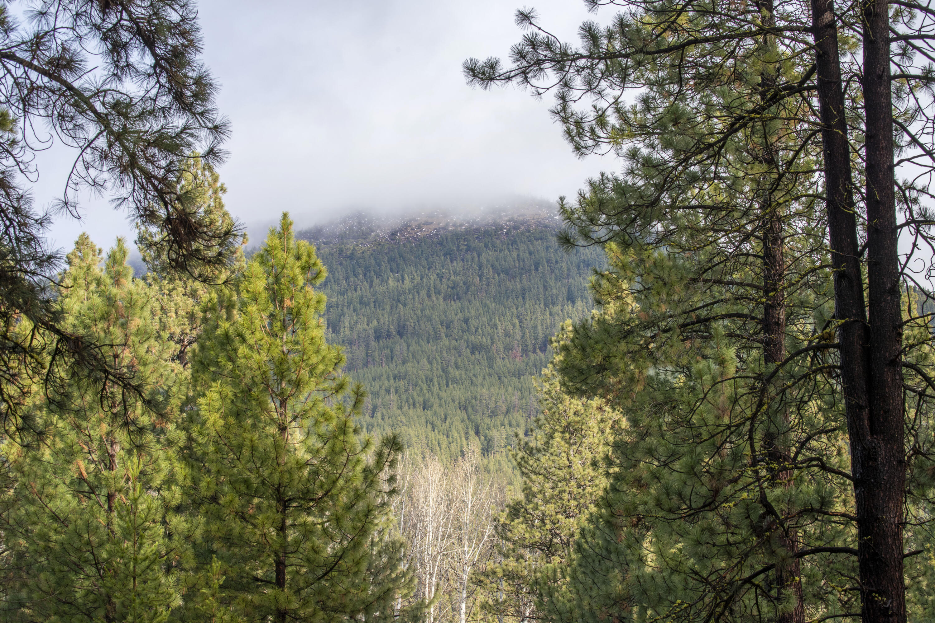 Black Butte Ranch - Residential