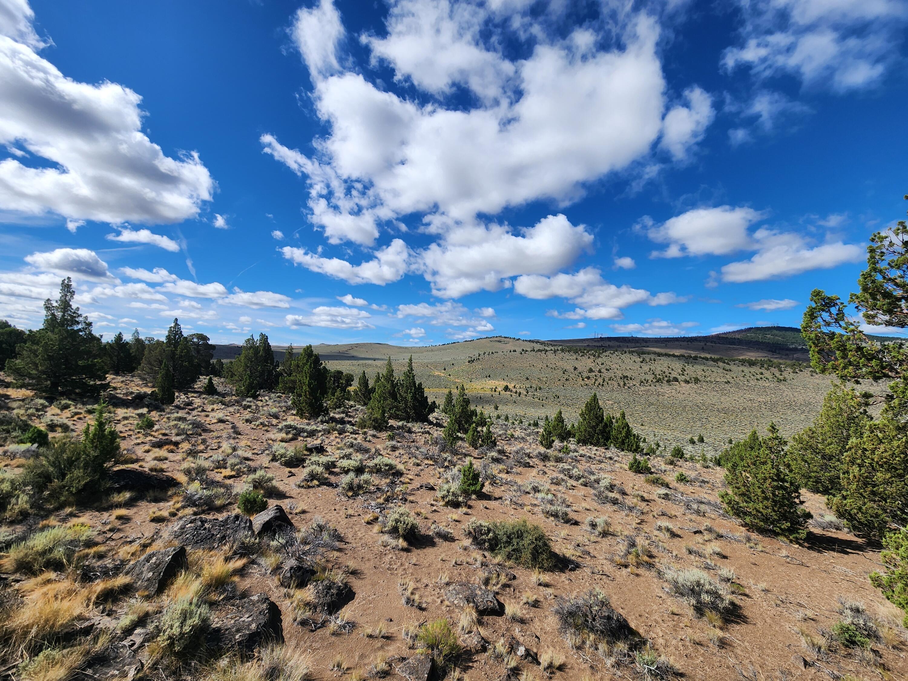 Fox Butte Road