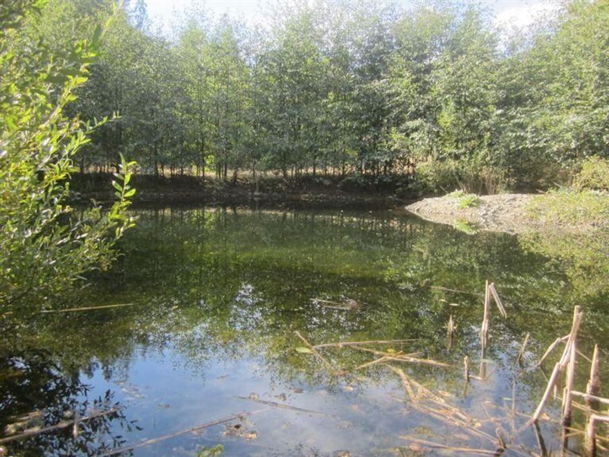 This Great property gives you a lot of bang for your buck. WR zoning allows for all your growing requirements. and with 27.49 Acres backed to BLM on two sides, trail riding and exploring options are nearly endless.  The Spring fed pond is located on the property and has not ever dried up. The approved home site is being held by a manufactured home of little value and is attached to the septic system and 20 GPM well when drilled in 1995. With power already to the private home site, it is ready for your dream home. Only 2 miles from the community of Applegate you are in the heart of the very desirable Applegate Valley.