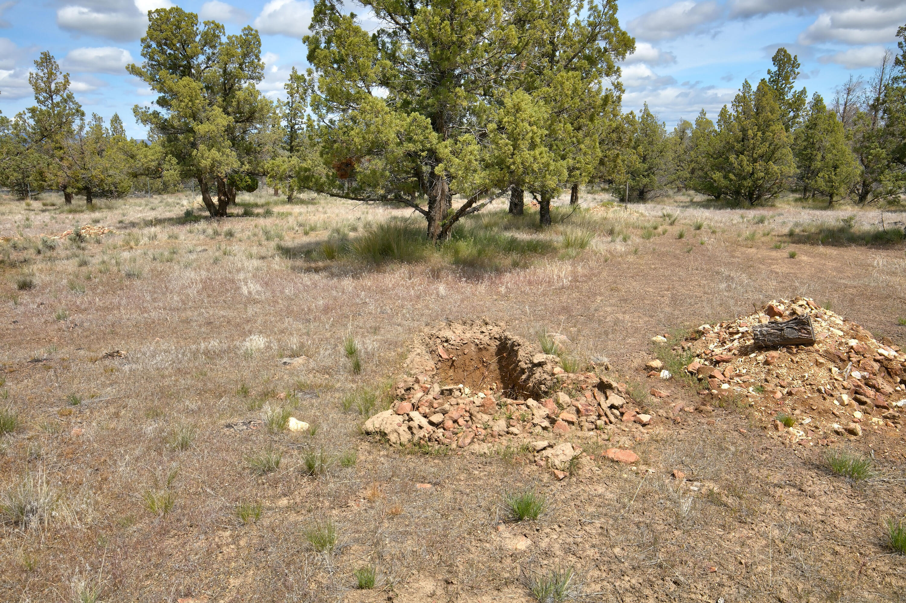 Mtn View Estate - Land