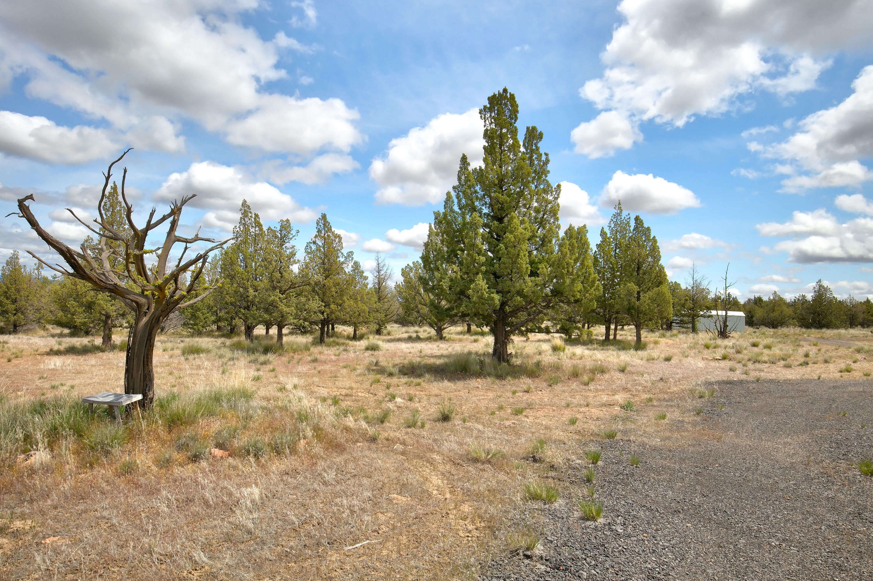 Mtn View Estate - Land