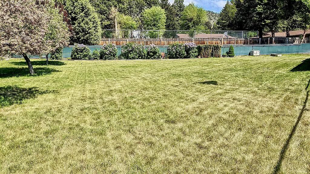 Pine Grove Ponderosa - Residential