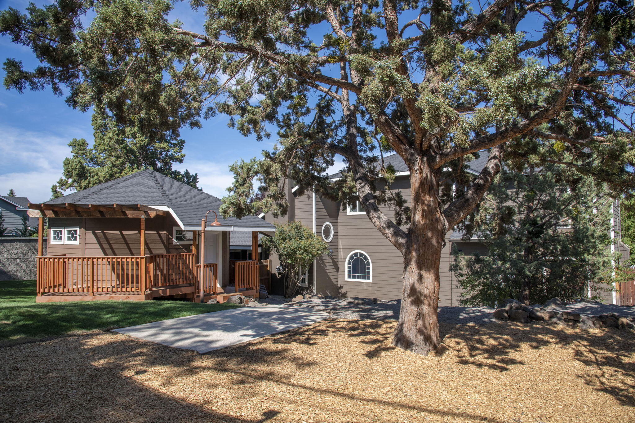Oak Tree - Residential