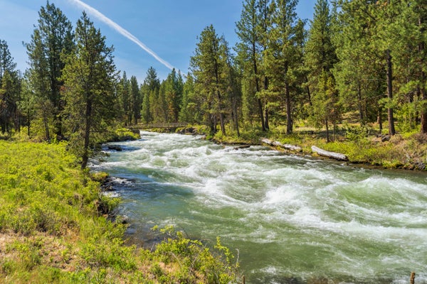 53539 KOKANEE WAY, LA PINE, OR 97739 - Image eb5ad3b26b70009825bbd3e09b4b5a4e/1897048349