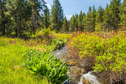 Tiny photo for 53539 Kokanee Way, La Pine, OR 97739 (MLS # 220221573)