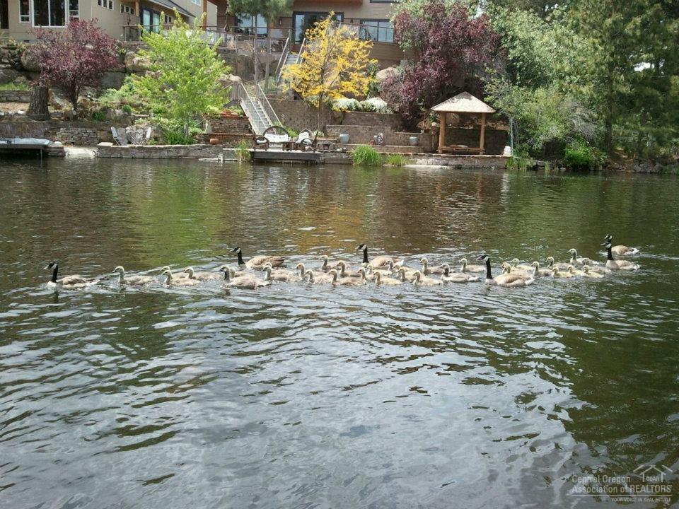 Mill Addition - Residential