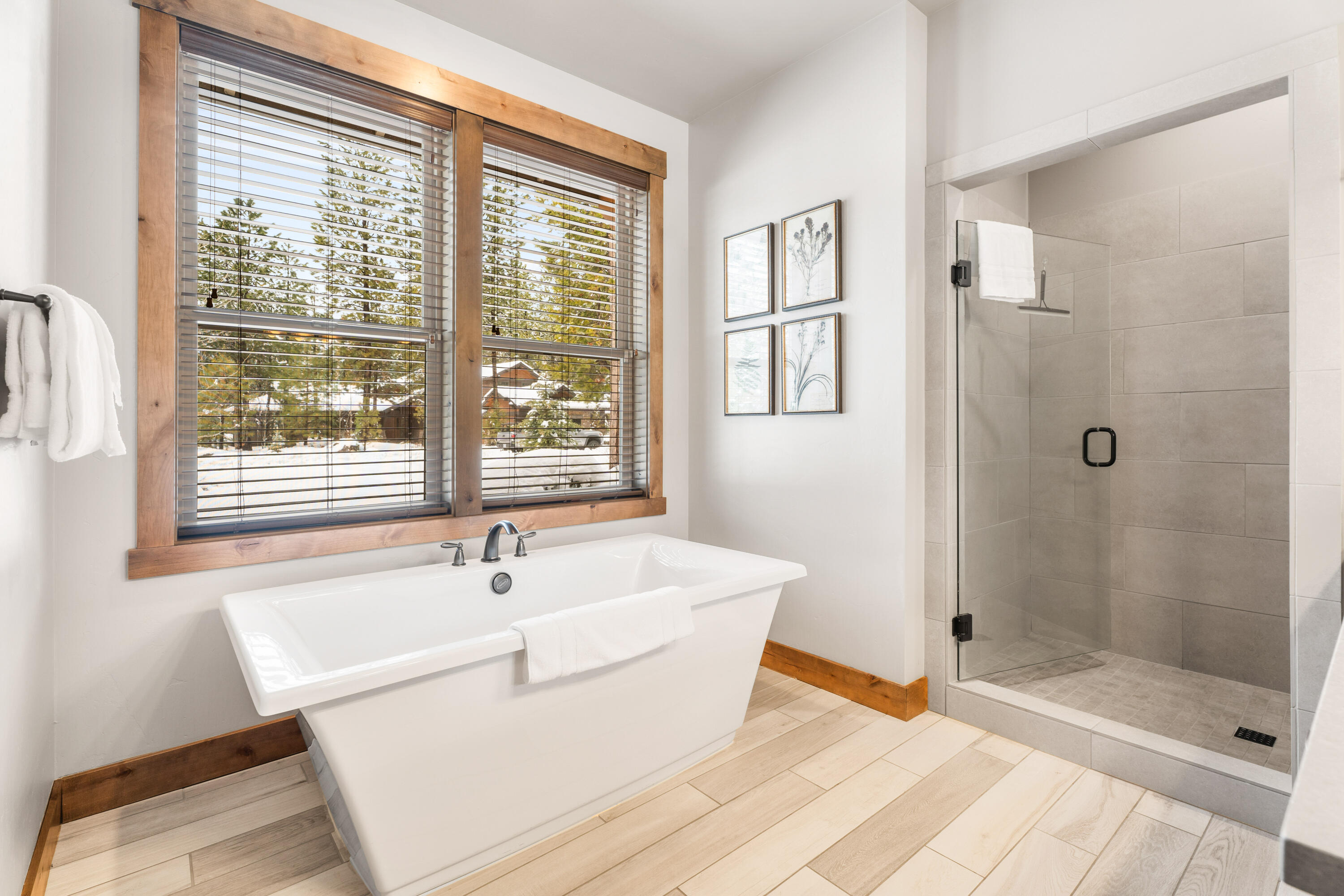 Caldera Springs - Residential