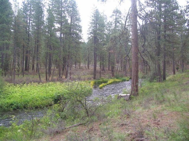 Metolius - Residential