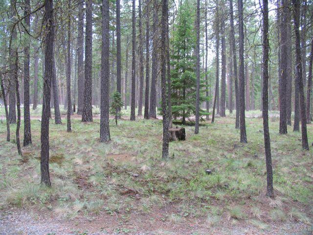 Metolius - Residential