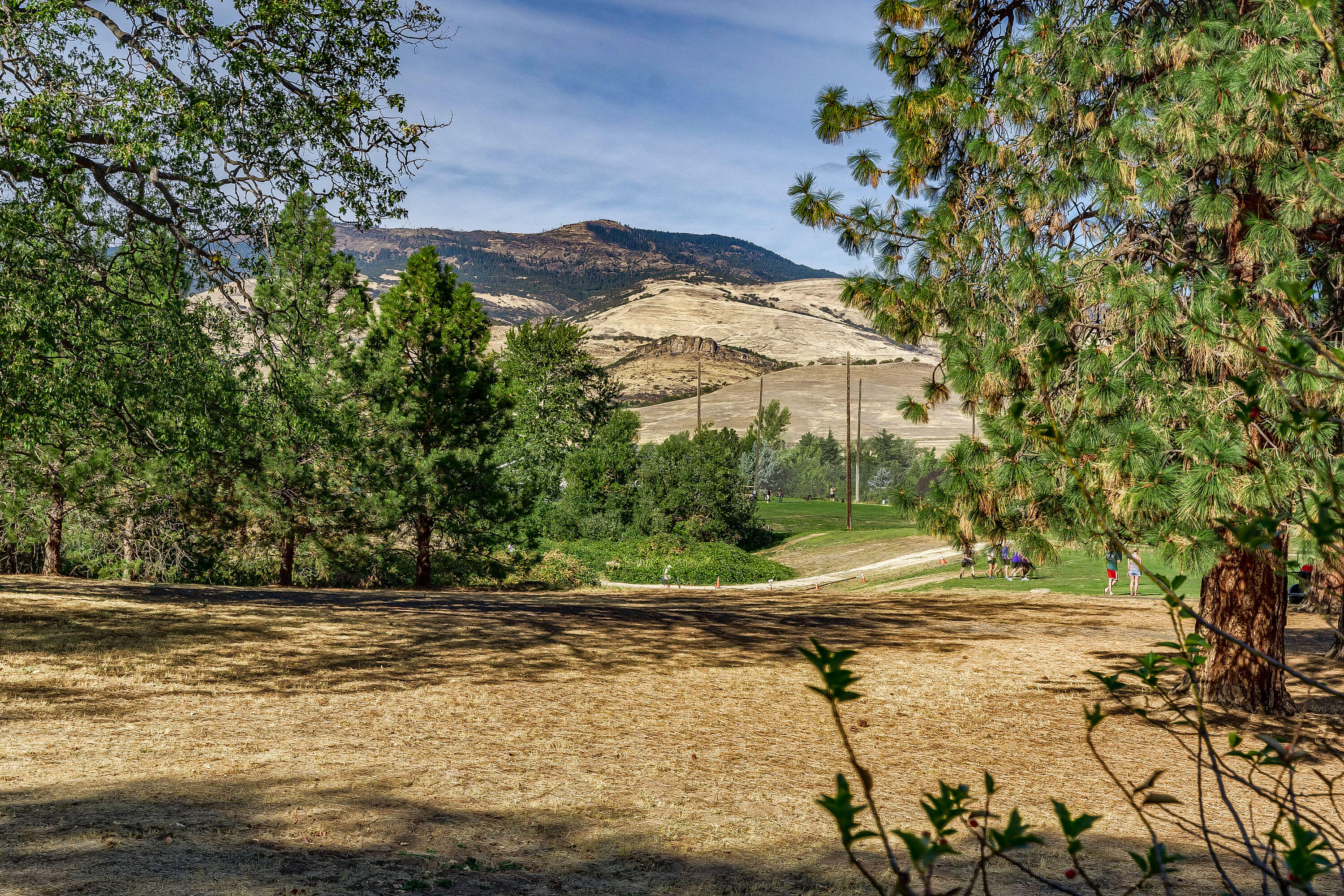 Oak Knoll Meadows Phase 3 - Residential