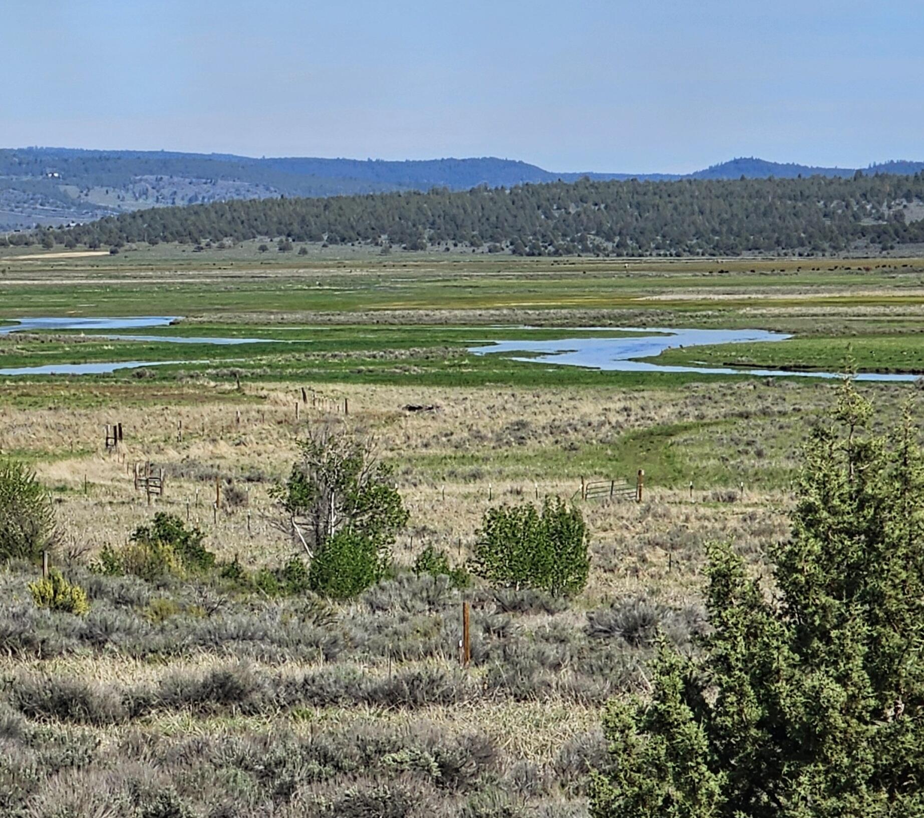 Nimrod River Park - Land