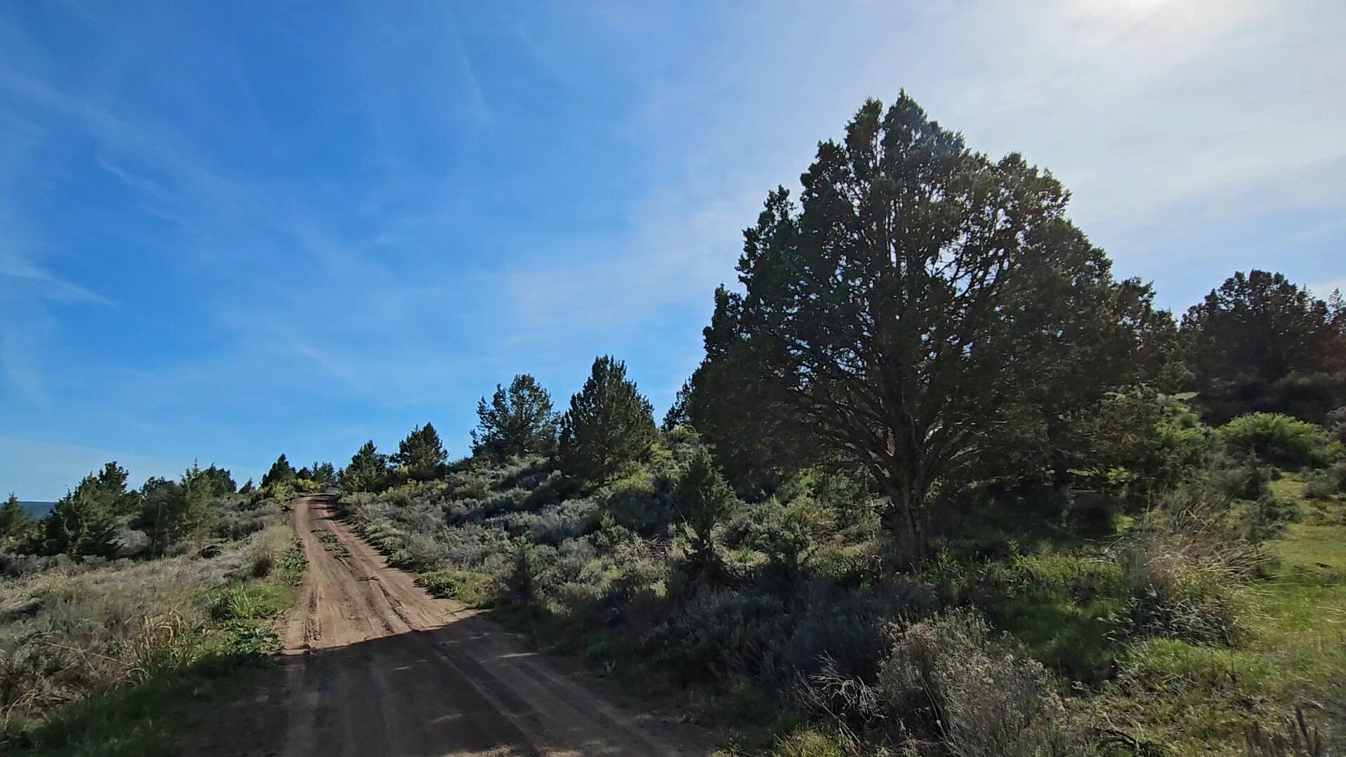 Nimrod River Park - Land