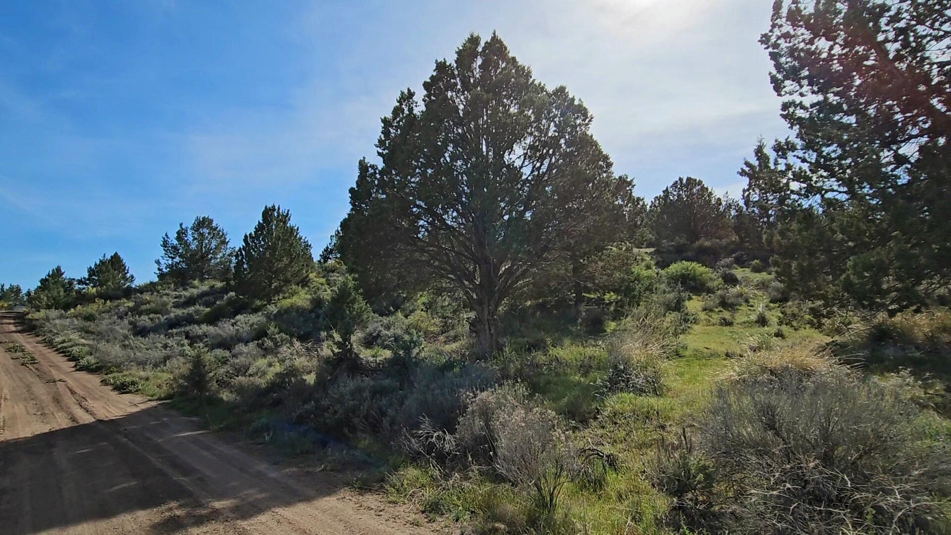 Nimrod River Park - Land