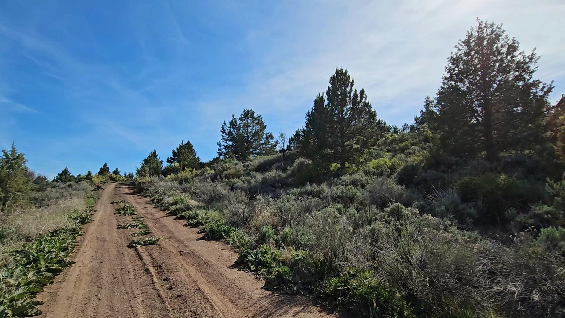 Nimrod River Park - Land