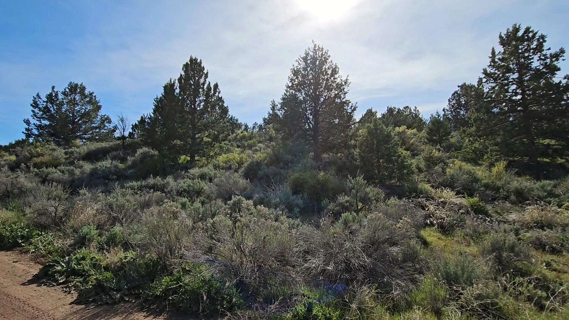 Nimrod River Park - Land