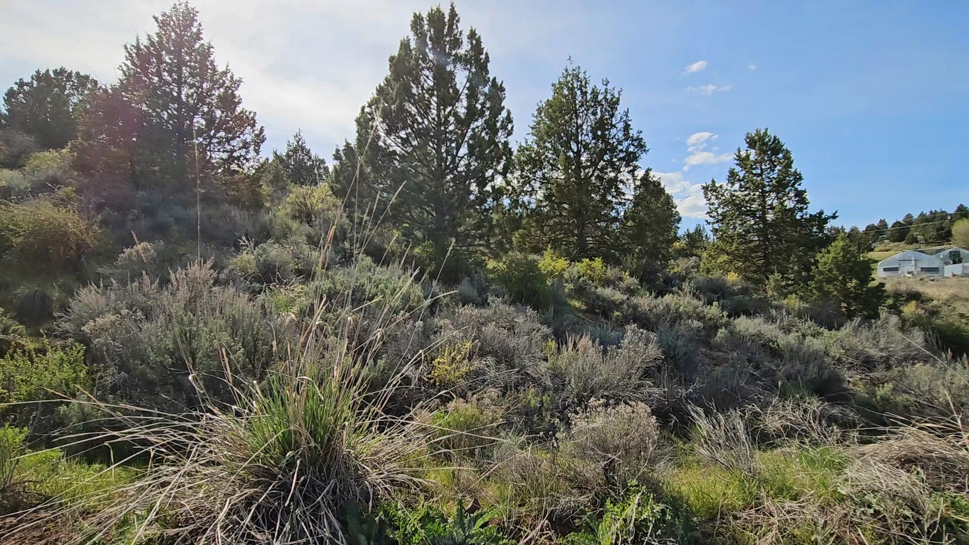 Nimrod River Park - Land