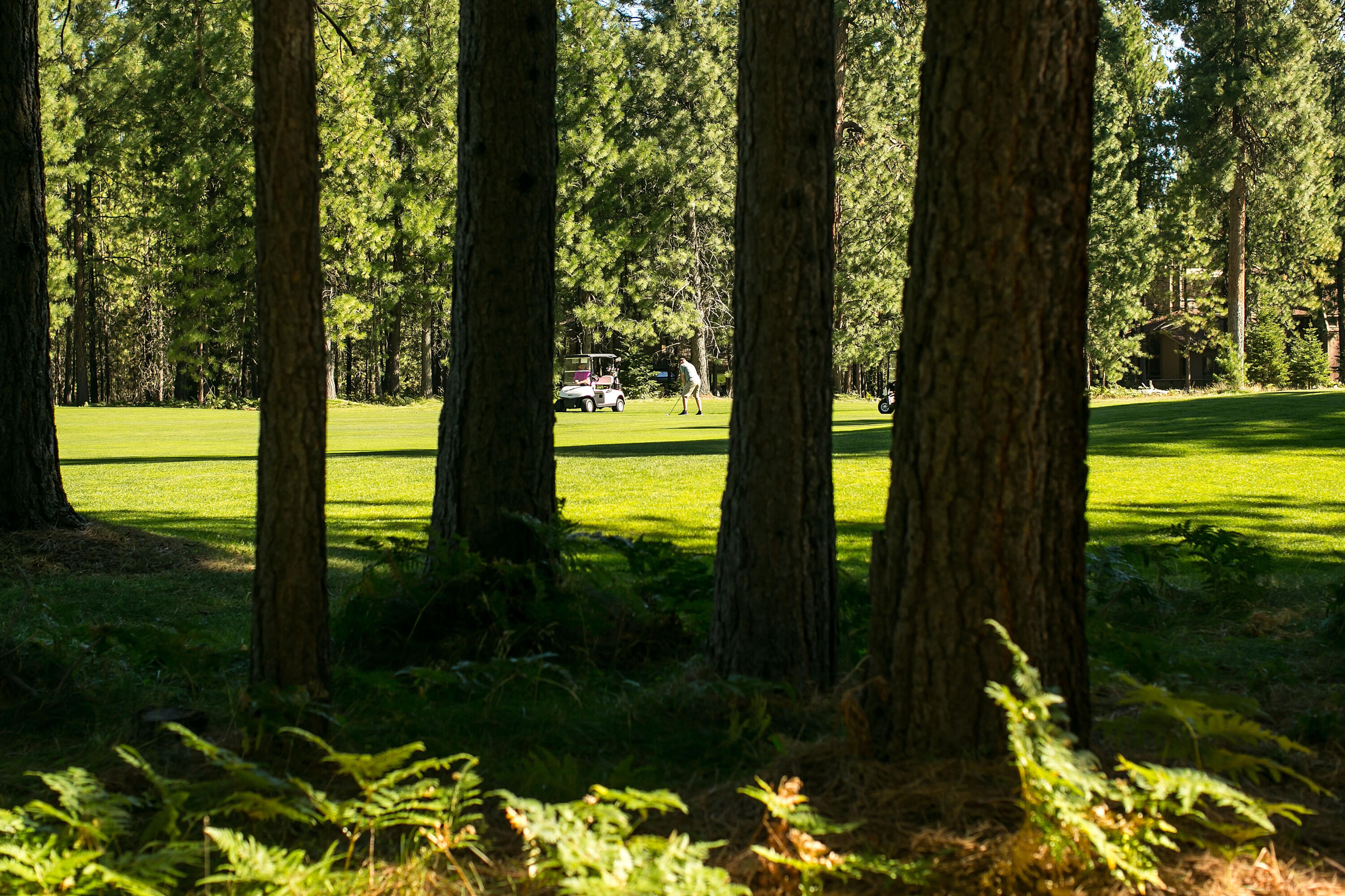Glaze Meadow Homesite Section - Residential