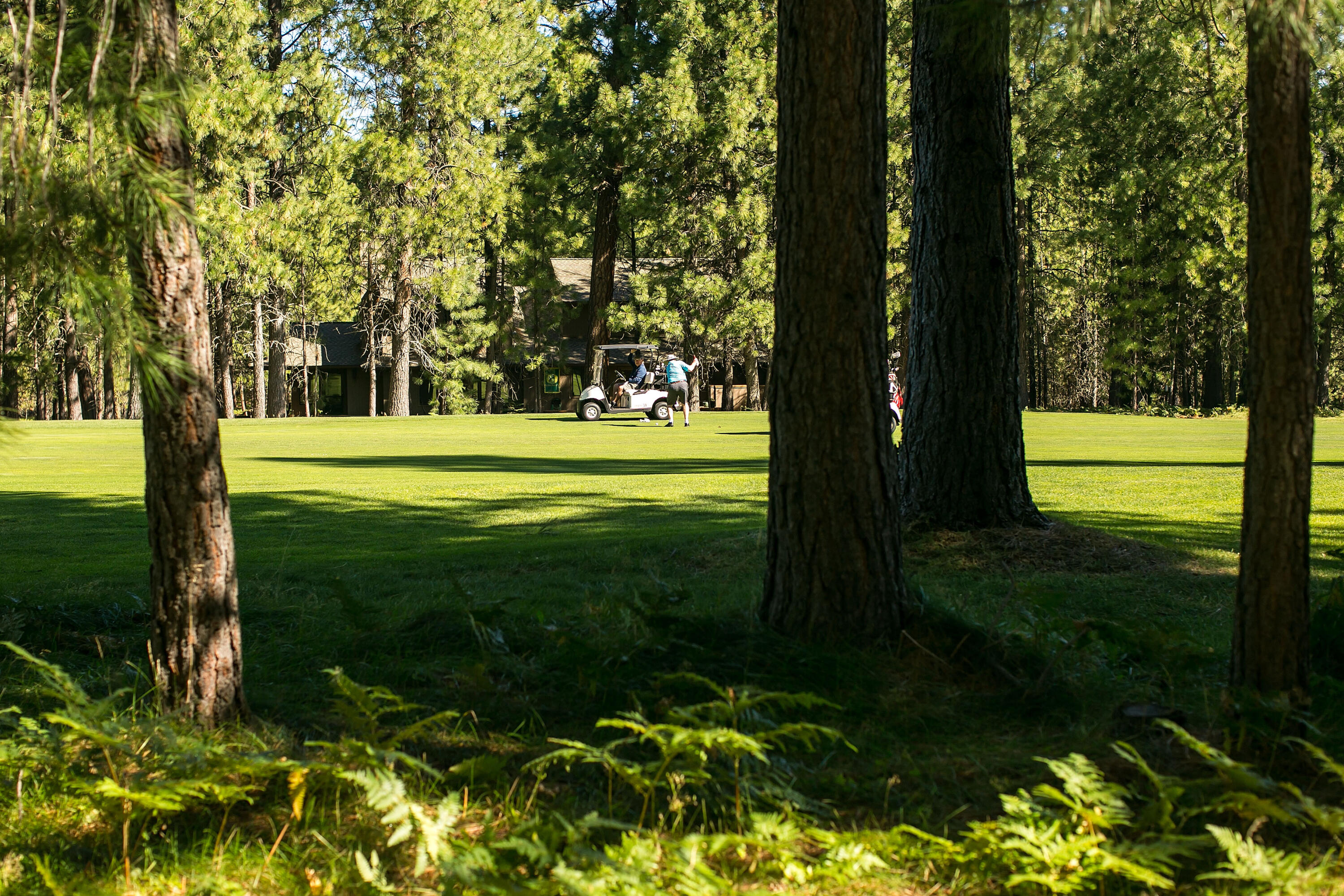 Glaze Meadow Homesite Section - Residential