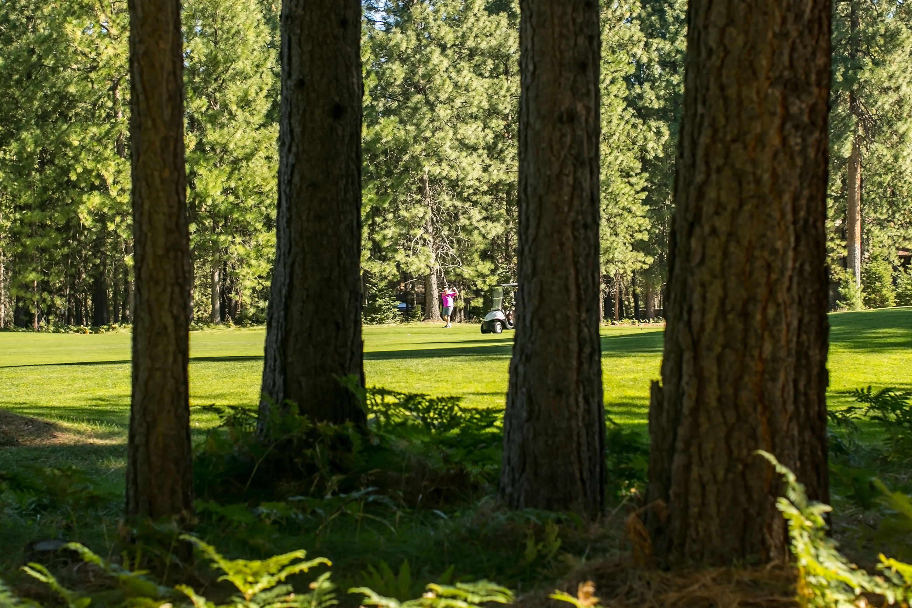 Glaze Meadow Homesite Section - Residential
