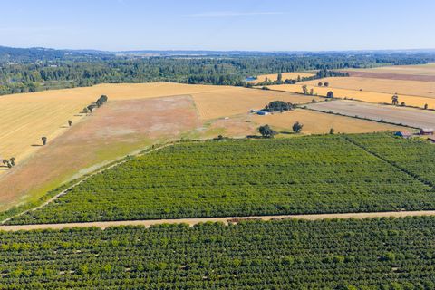 Tiny photo for 37225 Jefferson Scio Drive, Scio, OR 97374 (MLS # 220207573)