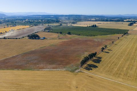 Tiny photo for 37225 Jefferson Scio Drive, Scio, OR 97374 (MLS # 220207573)