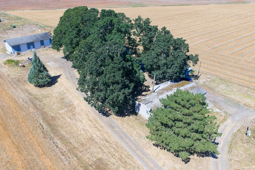 This 60.27-acre farm in Scio, Oregon, features 45.7 acres of water rights and on a secluded setting under a mature oak grove. The property includes a finished 60'x30' shop with three bays, a machine shed, and a finished workshop. The versatile Woodburn and Amity soils are suitable for grazing, hazelnuts or row crops. A 3-bedroom, 2-bath manufactured home is also on the property, sold in ''as-is condition.'' The home can be replaced or remodeled to take advantage of the expansive views from this quiet setting.