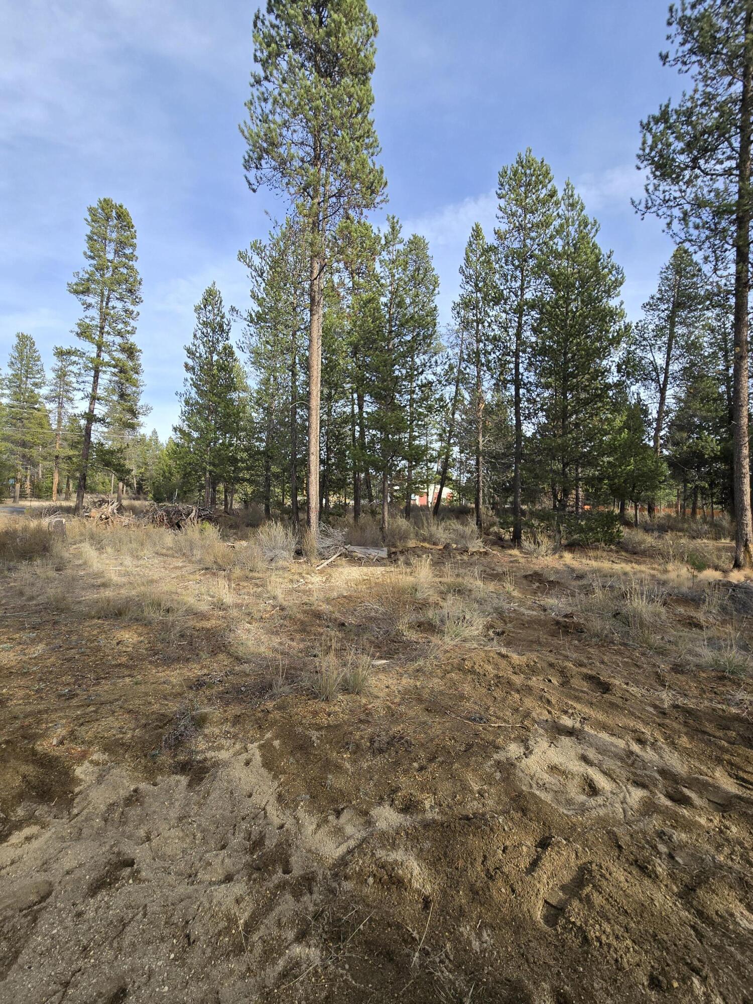 River Pine Estates - Land