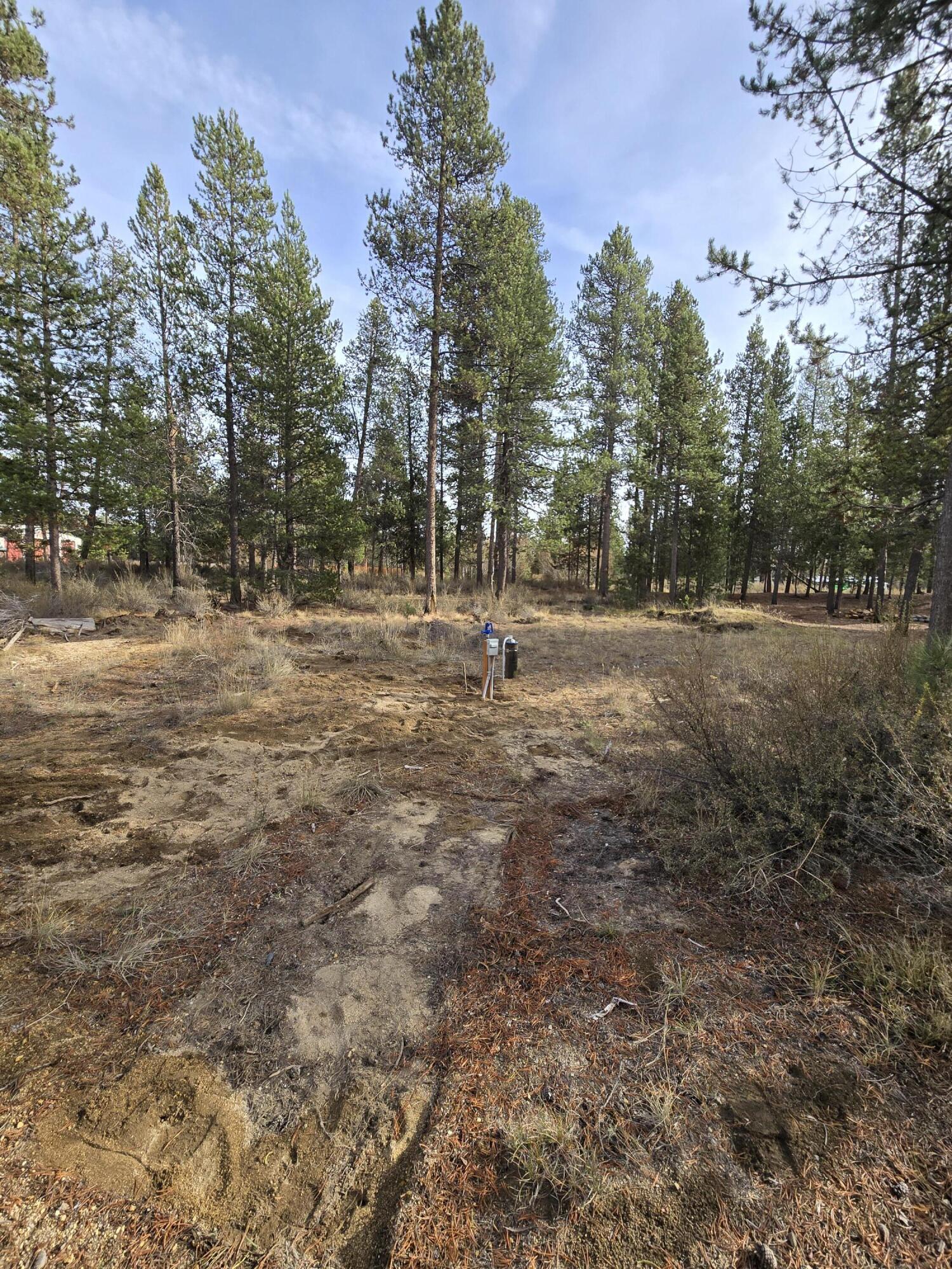 River Pine Estates - Land