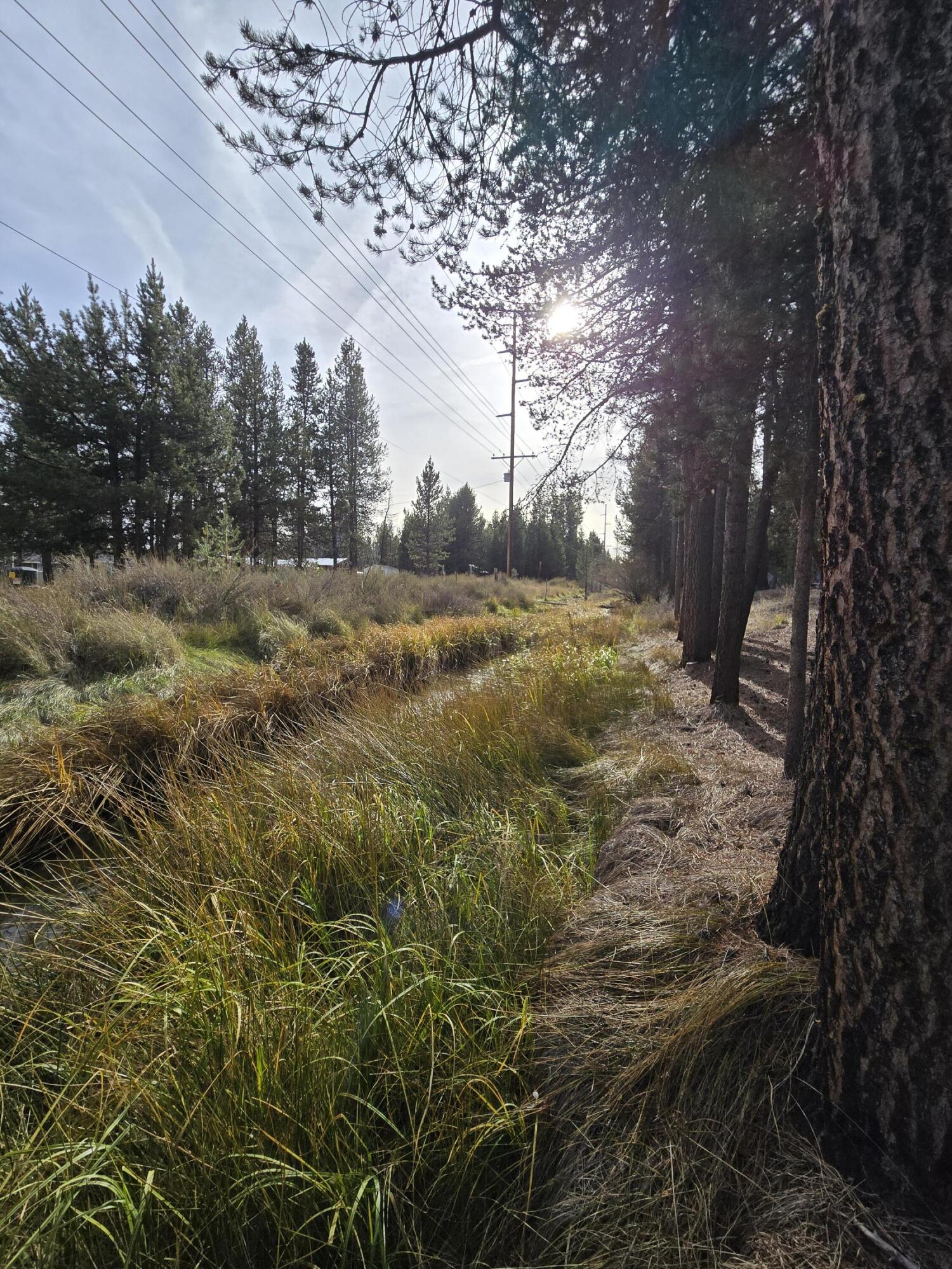 River Pine Estates - Land