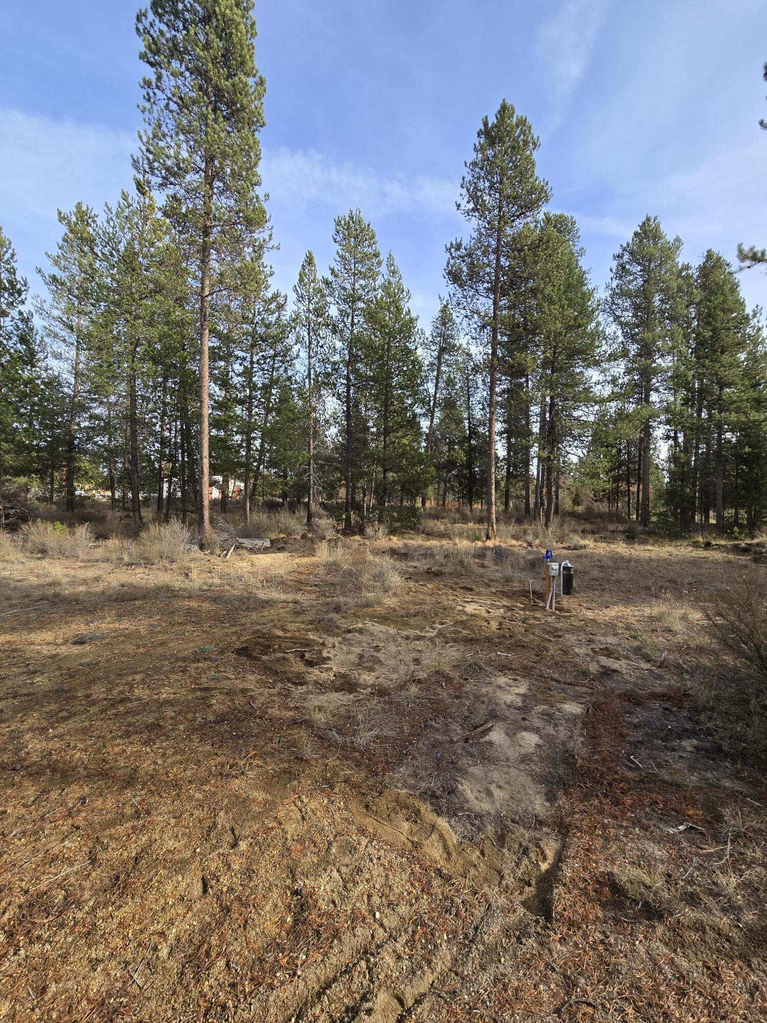 River Pine Estates - Land