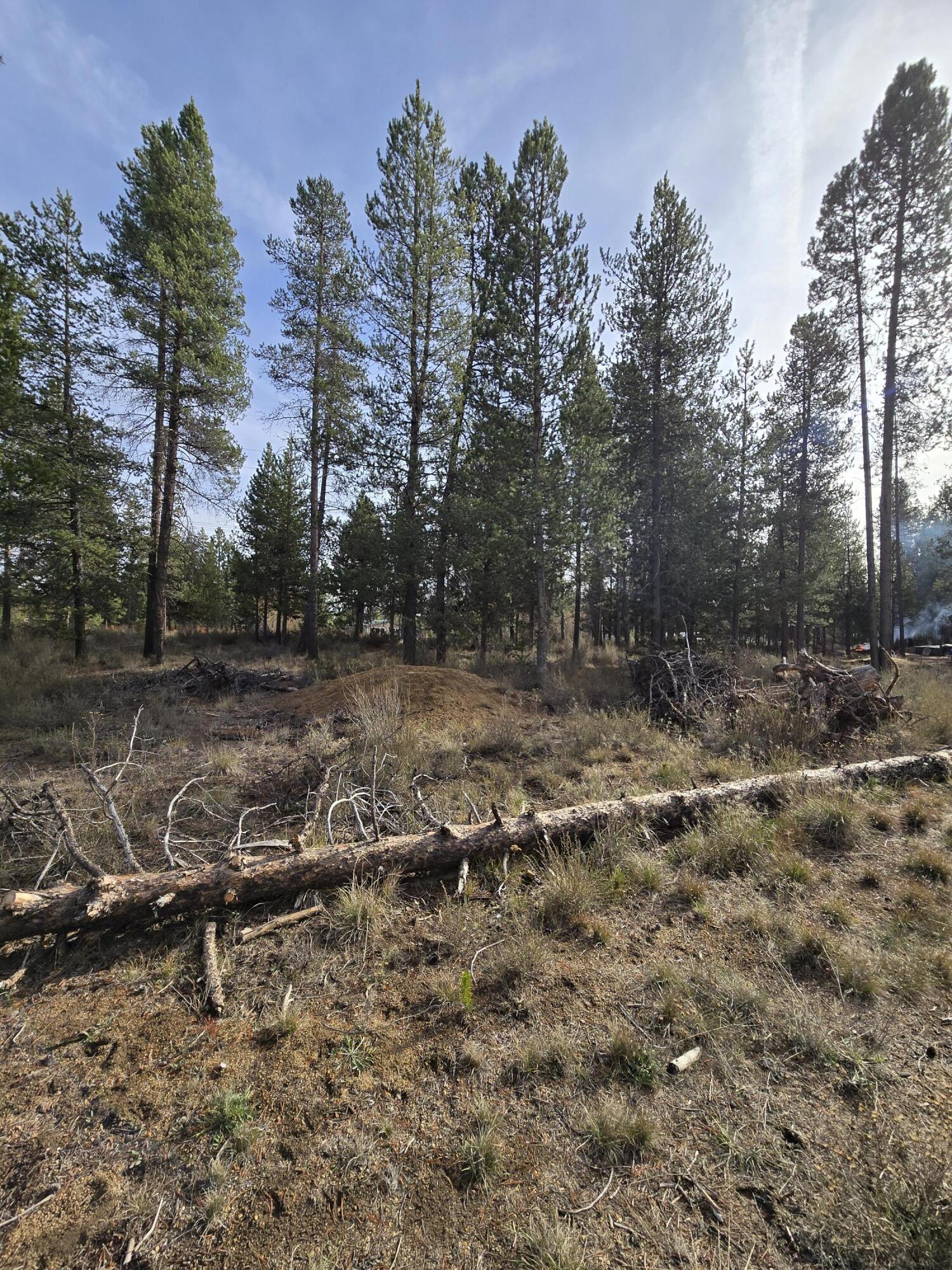 River Pine Estates - Land