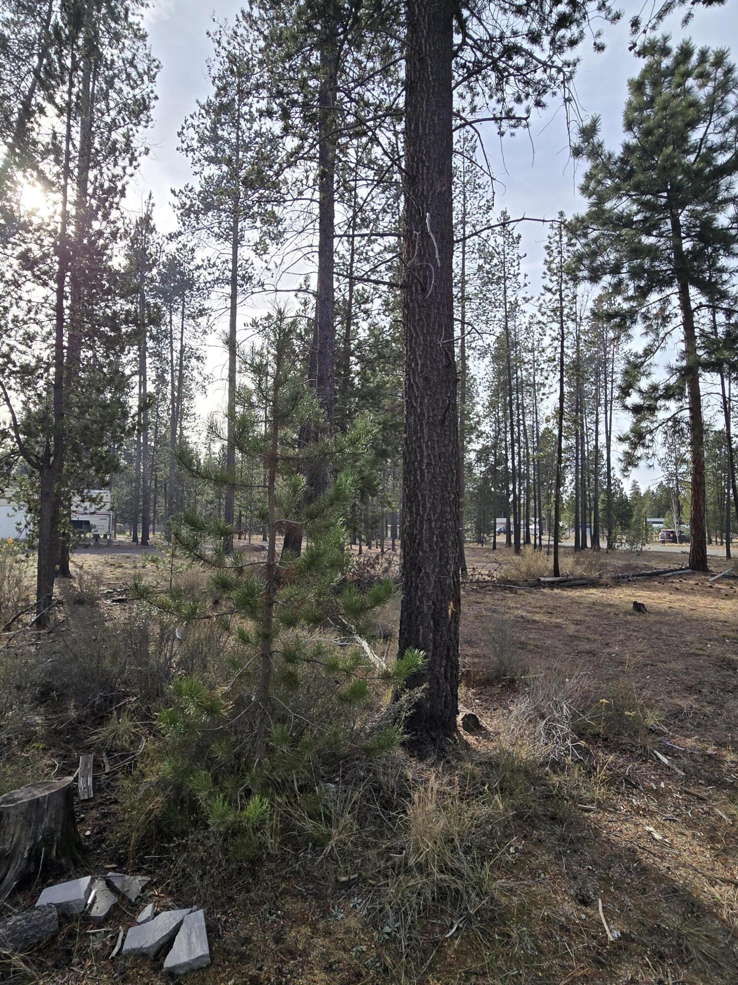 River Pine Estates - Land